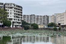 横潭公园1