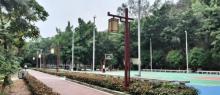 大岭森林公园2