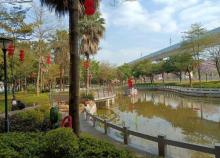 新水坑村生态园3