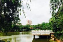 南郊公园2