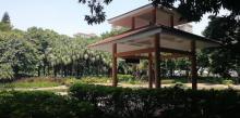 黄埔荔枝公园4