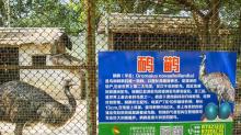 侨鑫生态园24