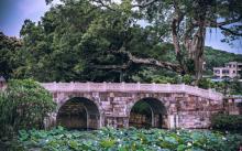 莲塘村公园1