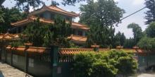 石岗松岗公园2