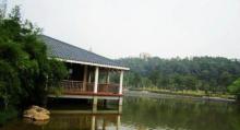 石岗松岗公园4