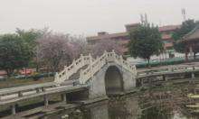 螺涌公园1