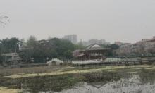 螺涌公园2