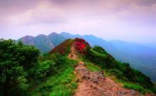 通天蜡烛山1