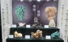 中山大学地质矿物博物馆1