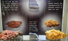中山大学地质矿物博物馆2