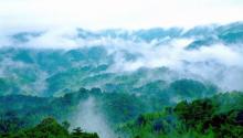 南昆山国家森林公园24