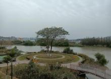 化龙湿地公园2