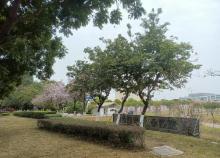 化龙湿地公园3