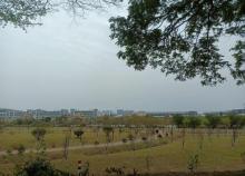 化龙湿地公园1