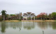 陈田花园3