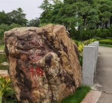 平洲公园4
