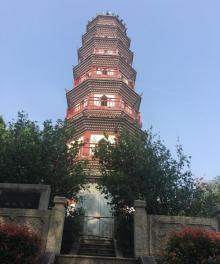 中山公园8