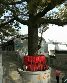 中山公园6