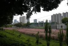 南海全民健身体育公园4