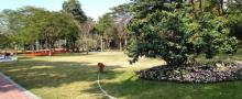 传祺公园6