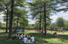 传祺公园3