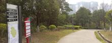 甘竹山公园2
