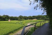 稻草农业公园7