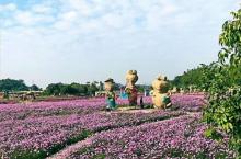 稻草农业公园2