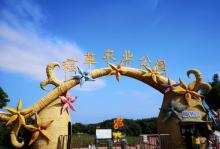 稻草农业公园5