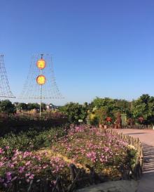 稻草农业公园10