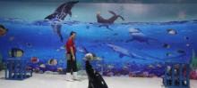 乐民海洋世界2
