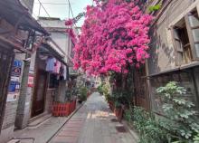 逢源路历史文化街1