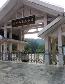 浔峰山生态公园1