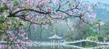 星湖旅游景区10