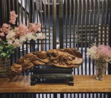 广东省华艺美术馆2