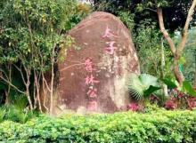 太子坑森林公园4