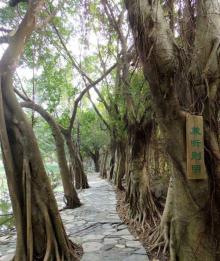 茂德公草堂19