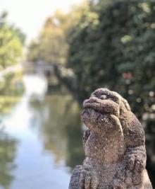 明远桥6