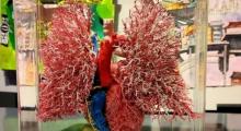 人体科学馆4