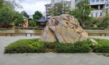 温泉荔枝蜜公园3