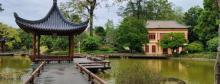 温泉荔枝蜜公园2