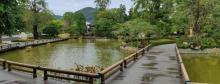 温泉荔枝蜜公园1