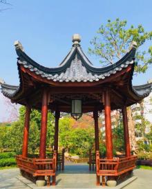 温泉荔枝蜜公园7