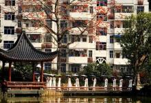 温泉荔枝蜜公园14