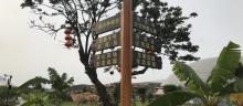 东江印象特色农业园28