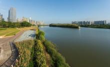 乐从国家水利风景区1