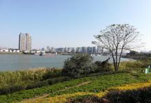 乐从国家水利风景区6