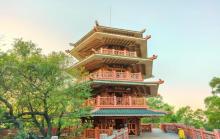 凤岭公园3