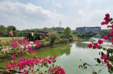 小楼人家景区4