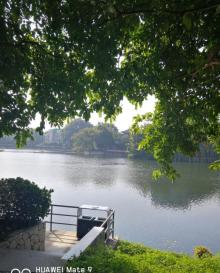 白云滨江公园2